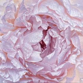 Painting for sale online - Peony 1