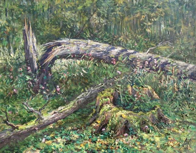Painting for sale online - Stump