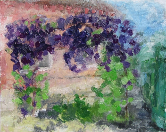 Painting for sale online - Clematis is blooming