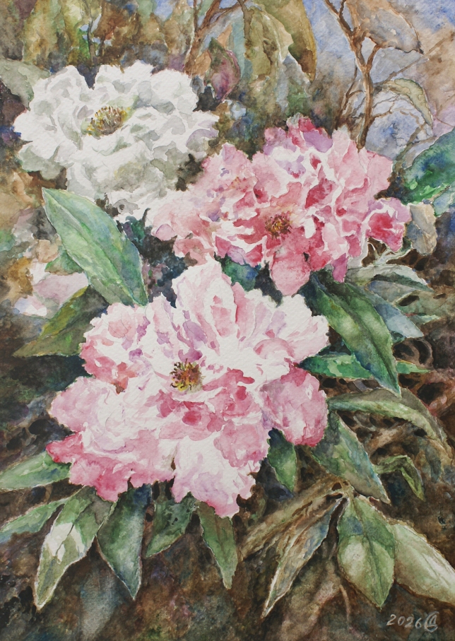 Painting for sale online - Rhododendron