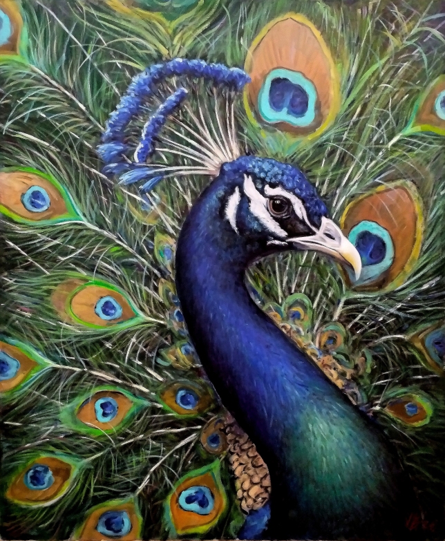 Painting for sale online - Peacock