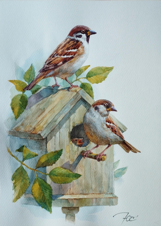 Painting for sale online - A sparrow family