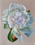 Painting for sale online - The scent of freshness.