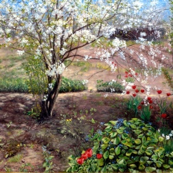 Painting for sale online - The cherry tree has blossomed.