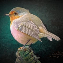 Painting for sale online - Bird
