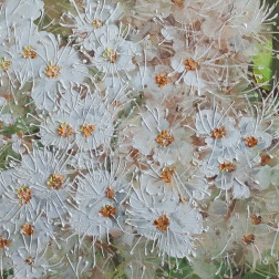 Painting for sale online - Summer snowflakes
