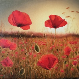 Painting for sale online - Sunset in a poppy field
