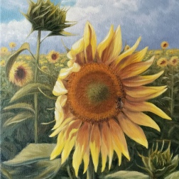 Painting for sale online - Sunflower