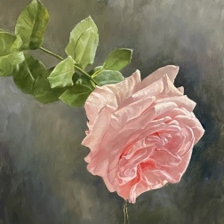 Painting for sale online - Queen Rose