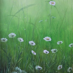 Painting for sale online - Chamomile field