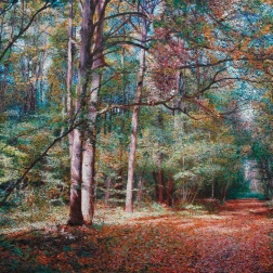 Painting for sale online - The forest in September