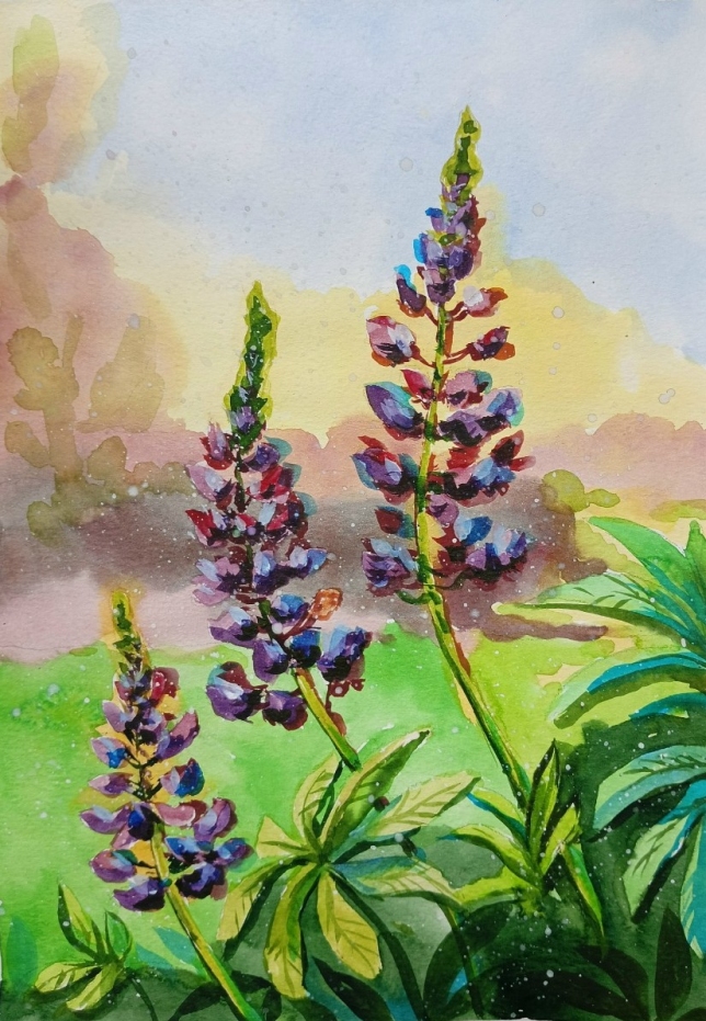 Painting for sale online - Where lupines bloom