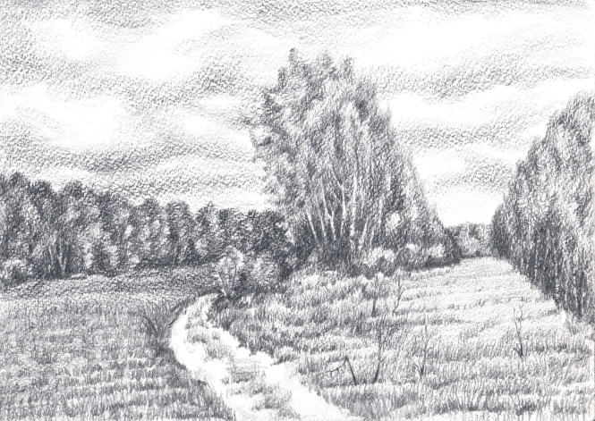 Painting for sale online - Among the fields. October. Sketch