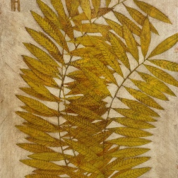 Painting for sale online - Rustle
