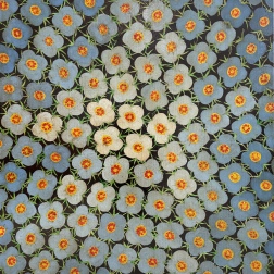 Painting for sale online - Flowers
