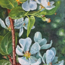 Painting for sale online - Apple blossoms in dew