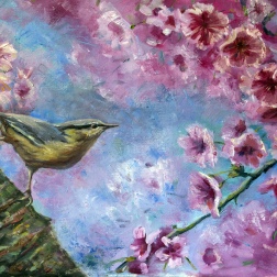 Painting for sale online - On the blossoming sakura