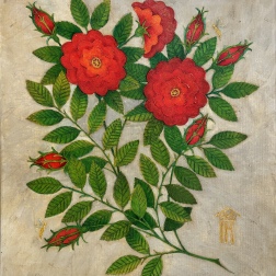 Painting for sale online - Rose hip