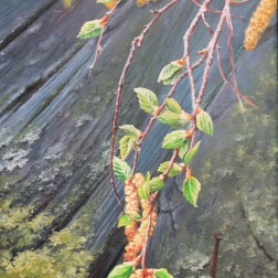 Painting for sale online - Birch catkins