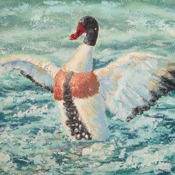 Painting for sale online - Duck