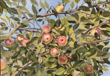 Painting for sale online - Apple Savior