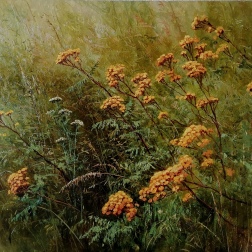 Painting for sale online - Sunshines of August