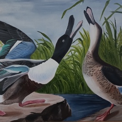 Painting for sale online - Ducks