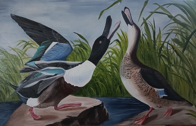 Painting for sale online - Ducks
