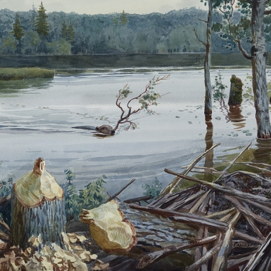 Painting for sale online - Beaver Bay