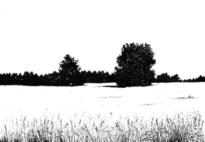 Painting for sale online - Among the Winter 1