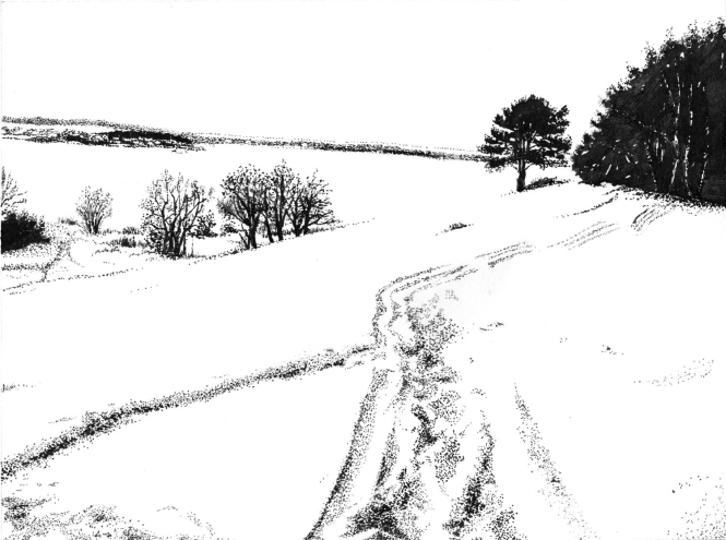 Painting for sale online - Among the Winter 2