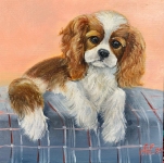 Painting for sale online - Cutie