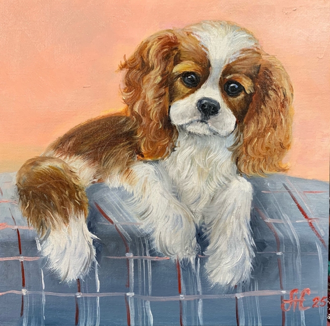 Painting for sale online - Cutie