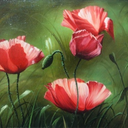 Painting for sale online - Poppies - 001