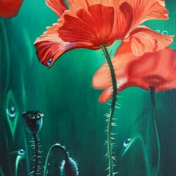 Painting for sale online - Poppies - 002