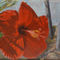 Painting for sale online - Greek Hibiscus
