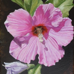 Painting for sale online - Pink Hibiscus