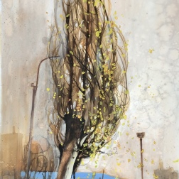 Painting for sale online - Tree in Yerevan