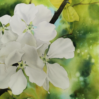 Painting for sale online - Life