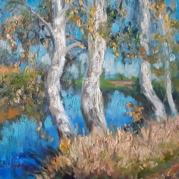 Painting for sale online - September birch trees