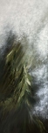 Painting for sale online - EARTH