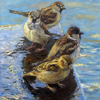 Painting for sale online - Sparrows