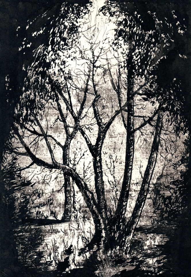 Painting for sale online - The Forest Contrasts