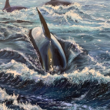 Painting for sale online - A killer whale hunts in the ocean.