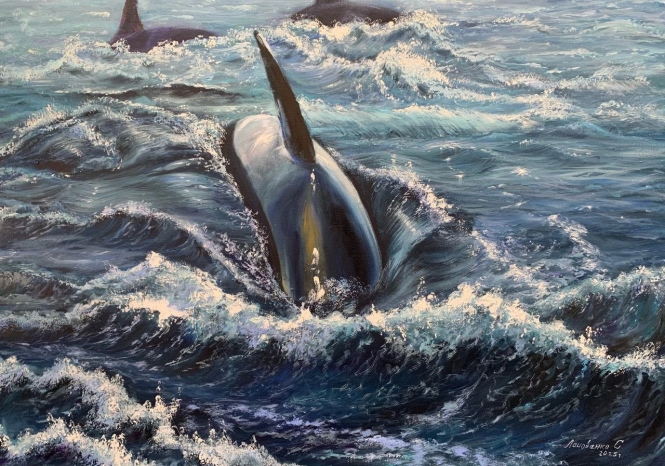 Painting for sale online - A killer whale hunts in the ocean.
