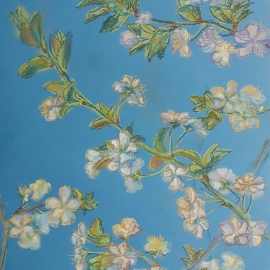 Painting for sale online - Cherry in blooming