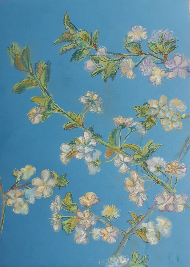 Painting for sale online - Cherry in blooming