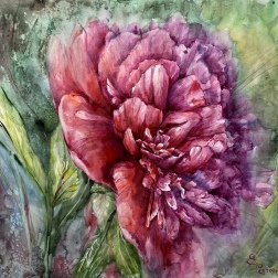 Painting for sale online - Peony in watercolor.