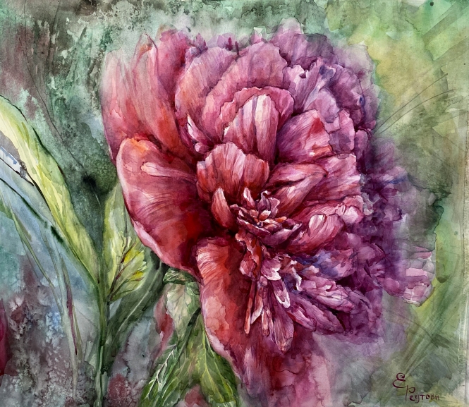 Painting for sale online - Peony in watercolor.