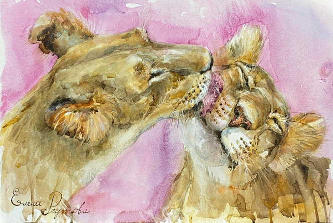 Painting for sale online - Watercolor lions.